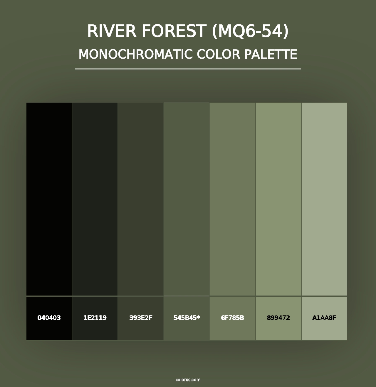 River Forest (MQ6-54) - Monochromatic Color Palette