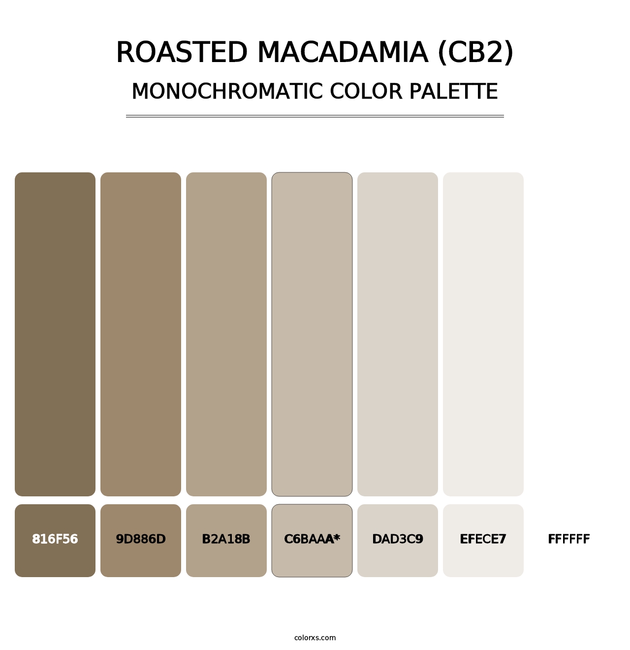 Roasted Macadamia (CB2) - Monochromatic Color Palette