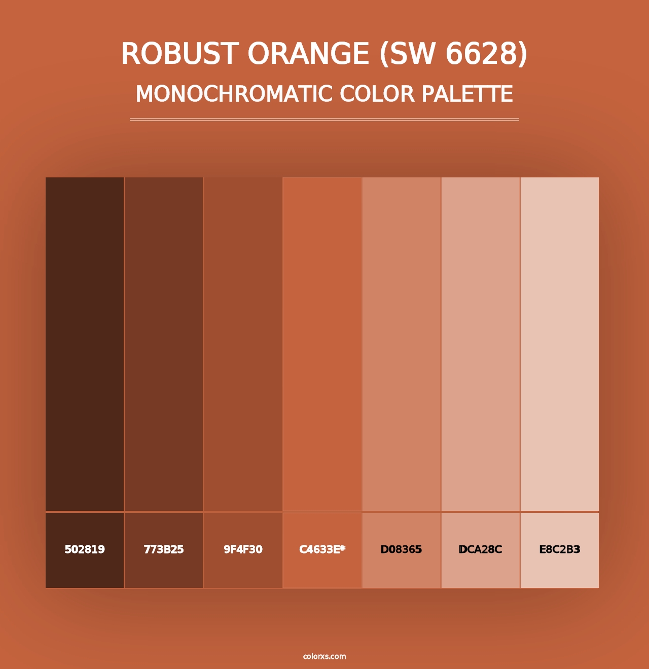 Robust Orange (SW 6628) - Monochromatic Color Palette