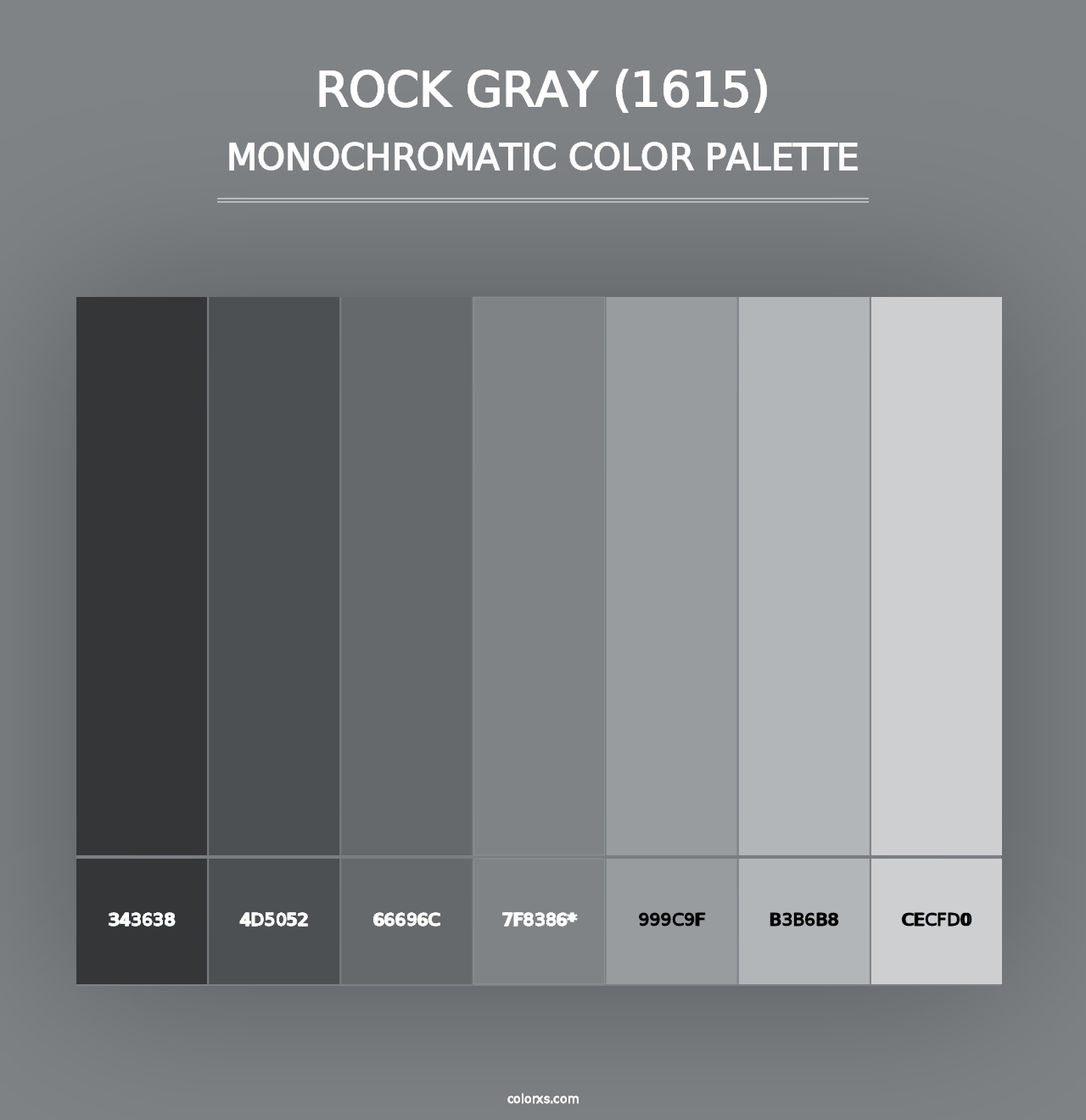 Rock Gray (1615) - Monochromatic Color Palette