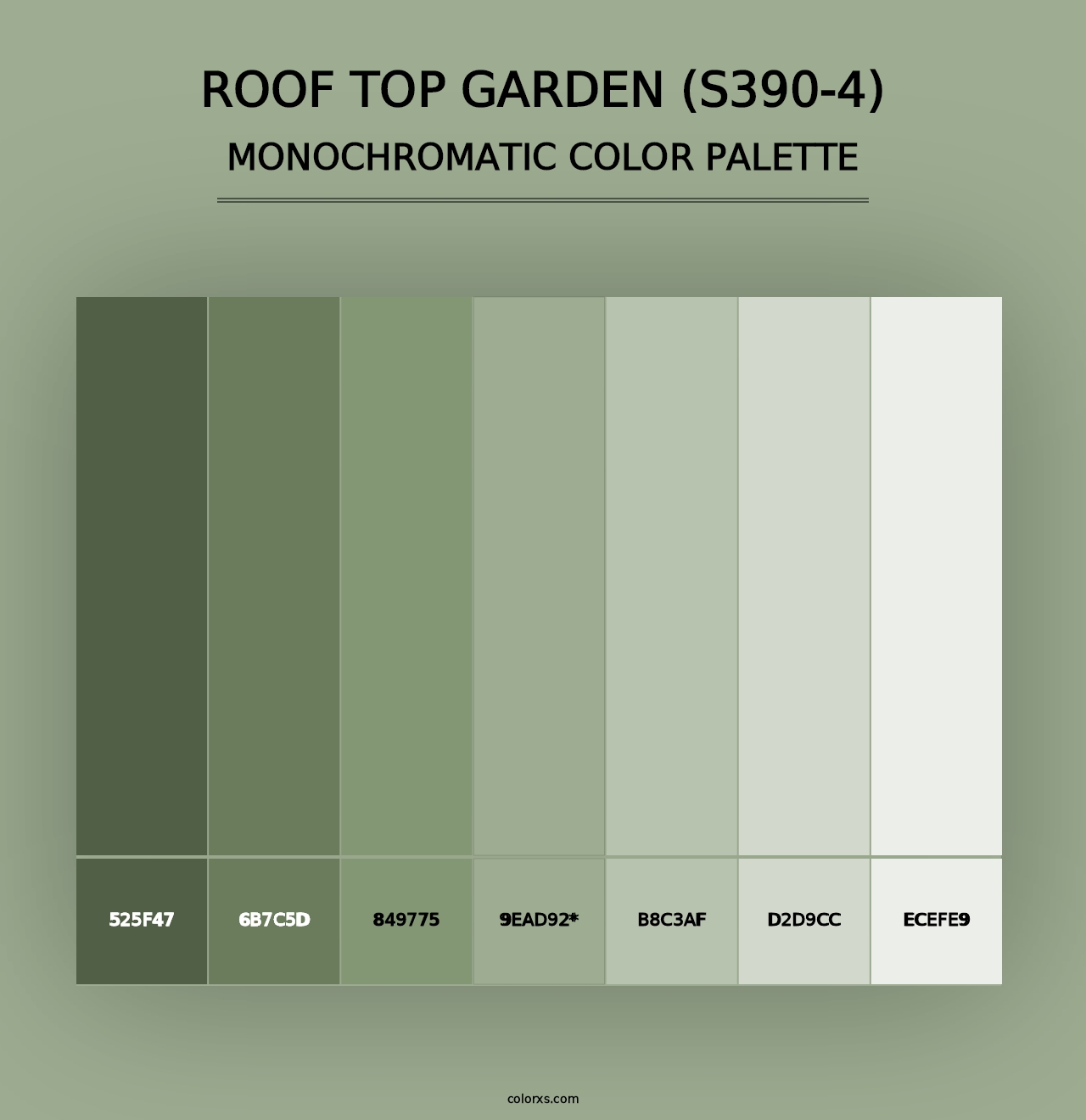 Roof Top Garden (S390-4) - Monochromatic Color Palette