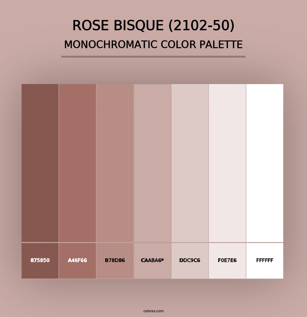 Rose Bisque (2102-50) - Monochromatic Color Palette