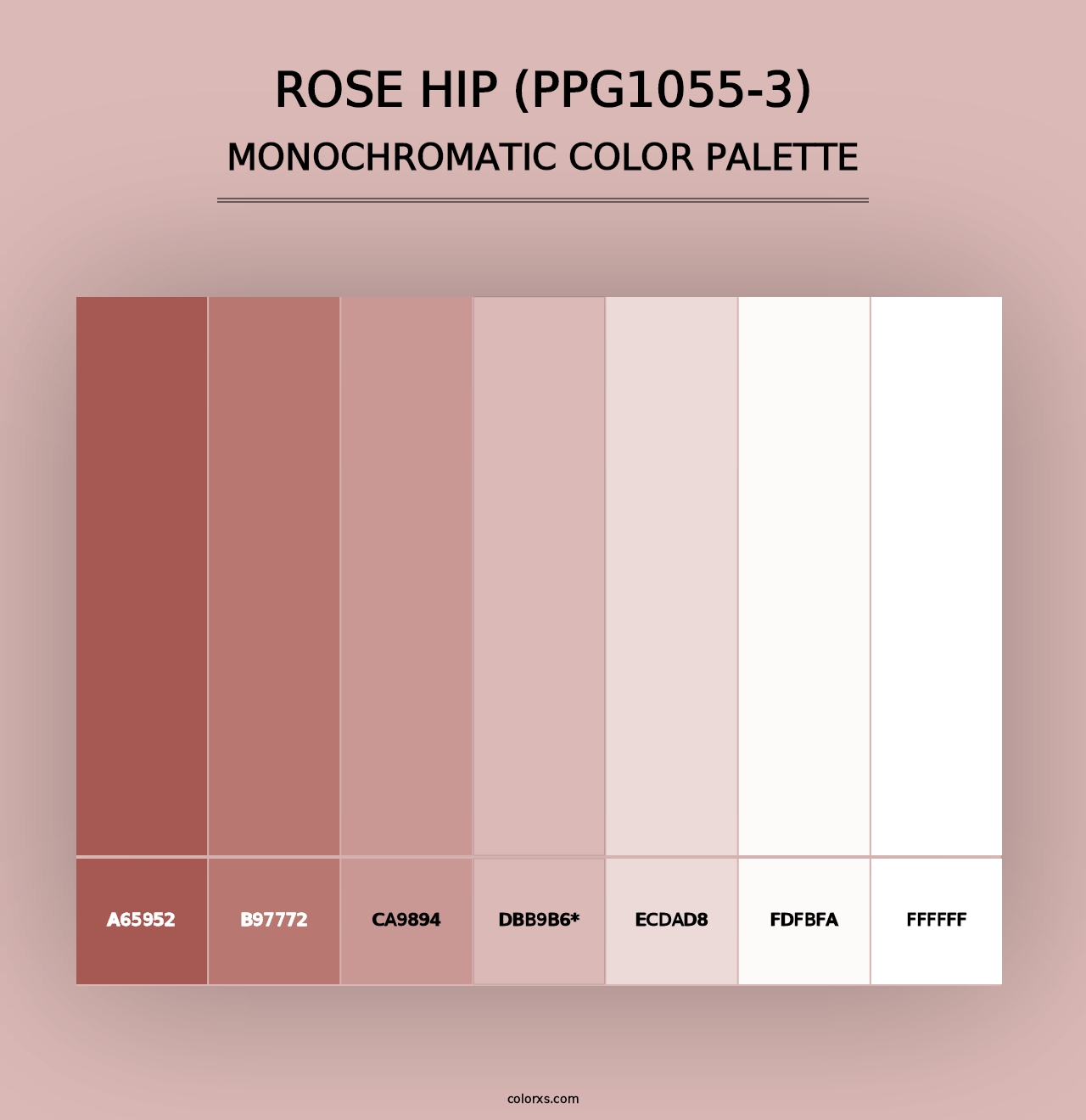 Rose Hip (PPG1055-3) - Monochromatic Color Palette