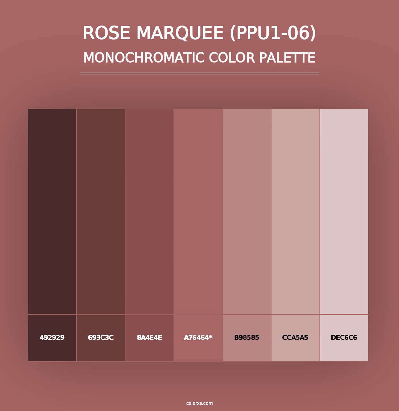 Rose Marquee (PPU1-06) - Monochromatic Color Palette