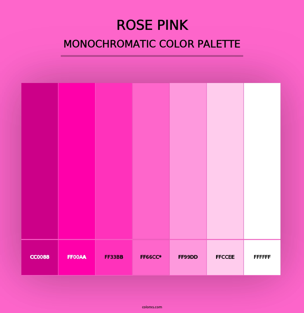 Rose Pink - Monochromatic Color Palette