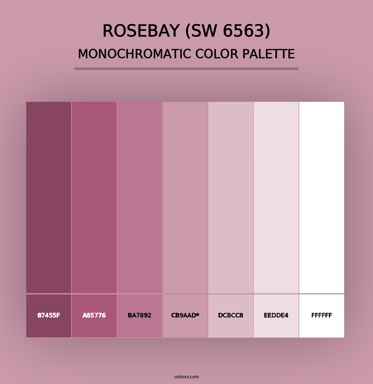 Rosebay (SW 6563) - Monochromatic Color Palette