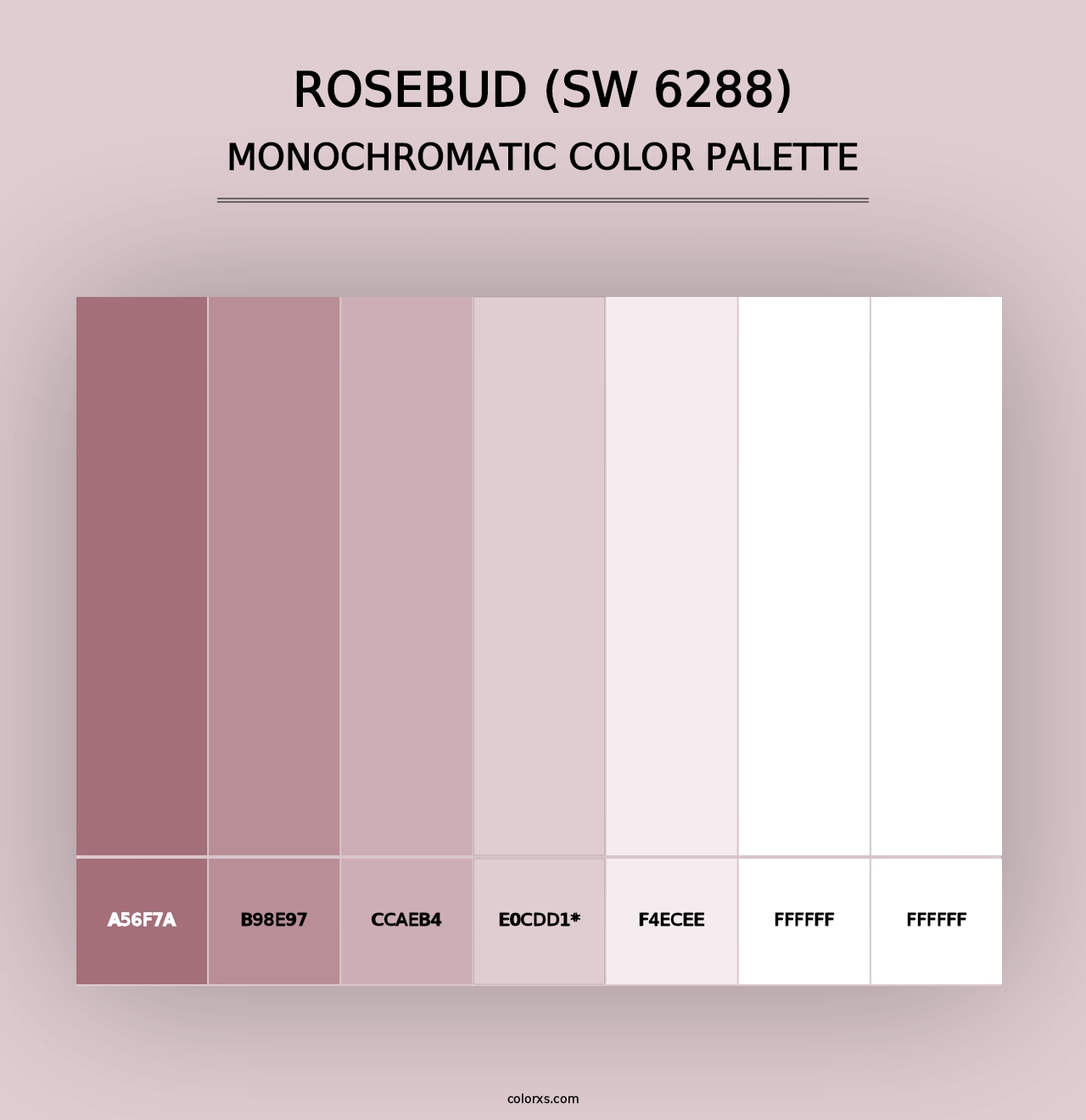 Rosebud (SW 6288) - Monochromatic Color Palette