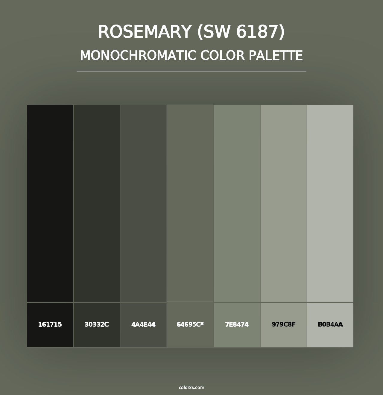 Rosemary (SW 6187) - Monochromatic Color Palette