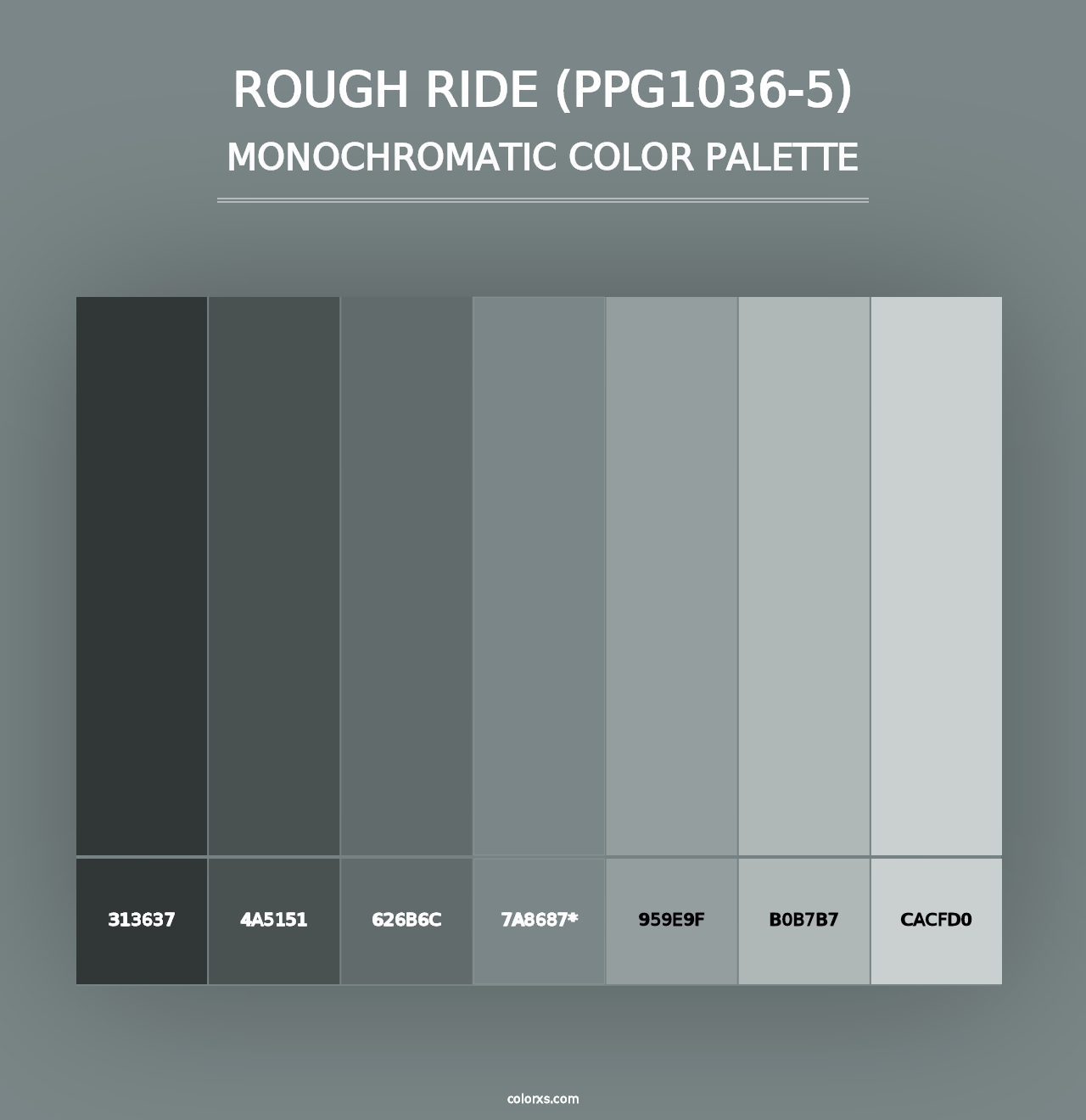 Rough Ride (PPG1036-5) - Monochromatic Color Palette