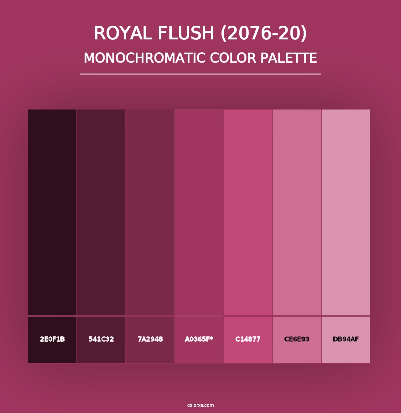 Royal Flush (2076-20) - Monochromatic Color Palette