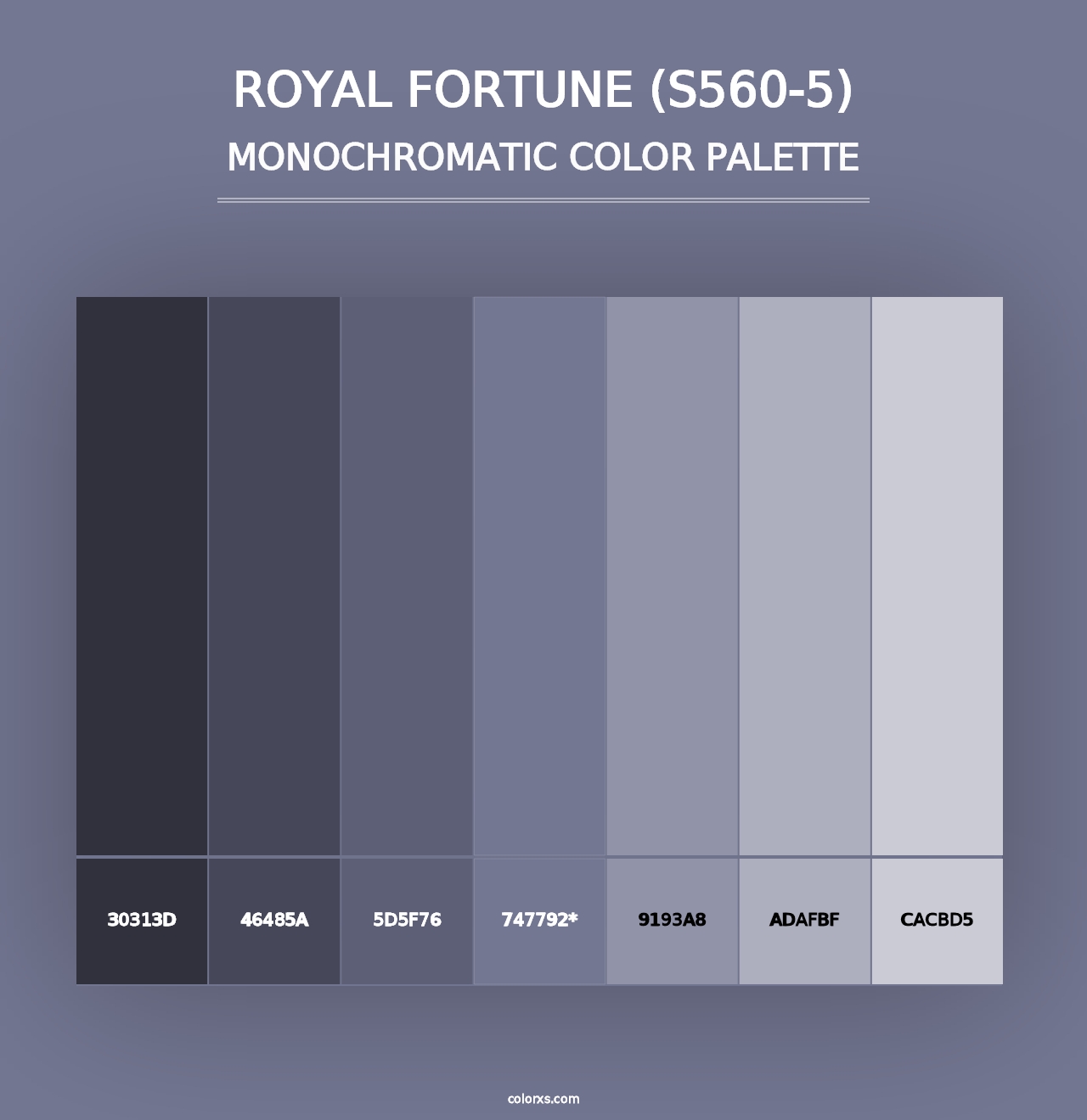 Royal Fortune (S560-5) - Monochromatic Color Palette