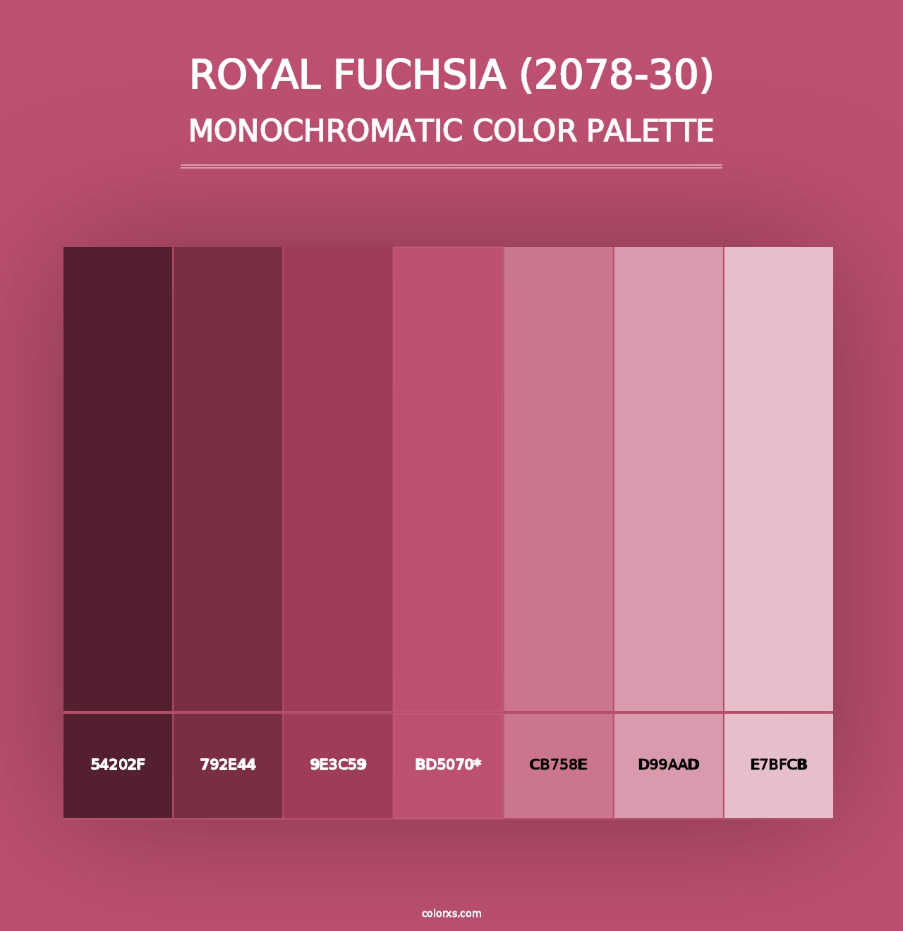 Royal Fuchsia (2078-30) - Monochromatic Color Palette