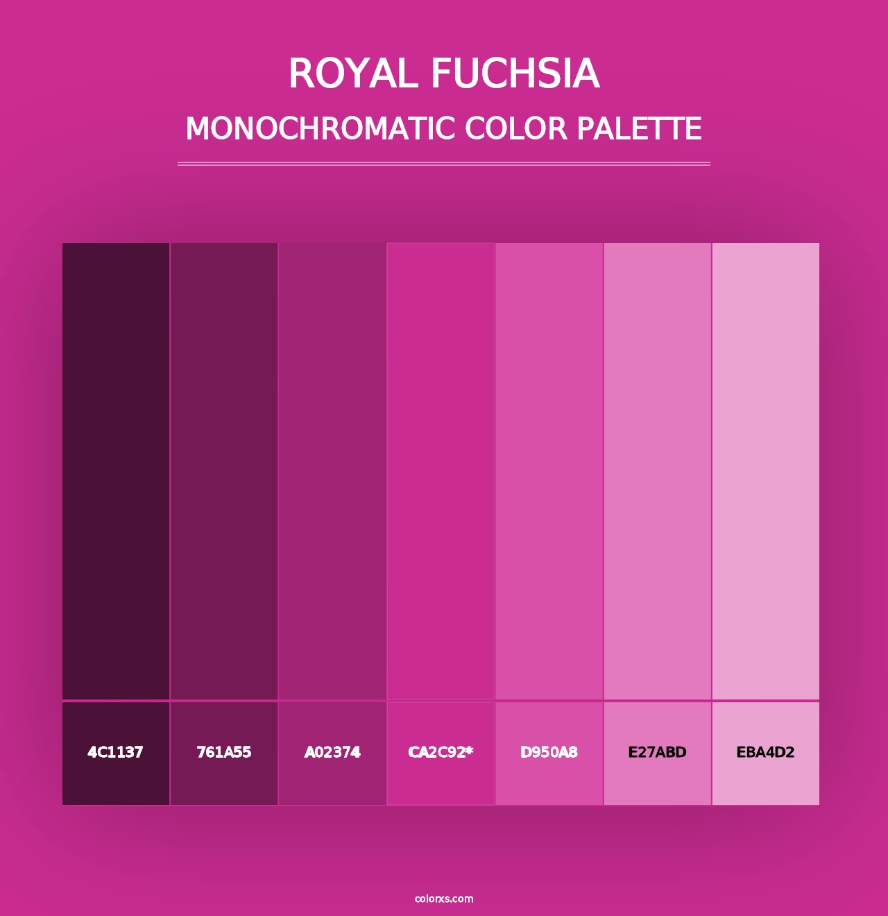 Royal Fuchsia - Monochromatic Color Palette