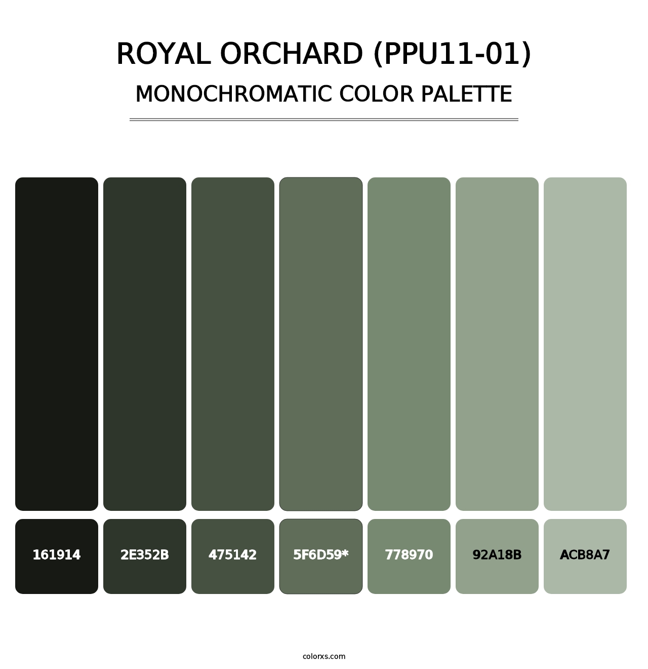 Royal Orchard (PPU11-01) - Monochromatic Color Palette