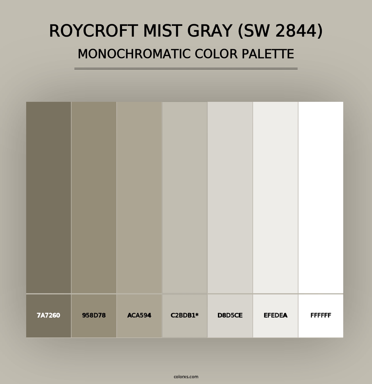 Roycroft Mist Gray (SW 2844) - Monochromatic Color Palette