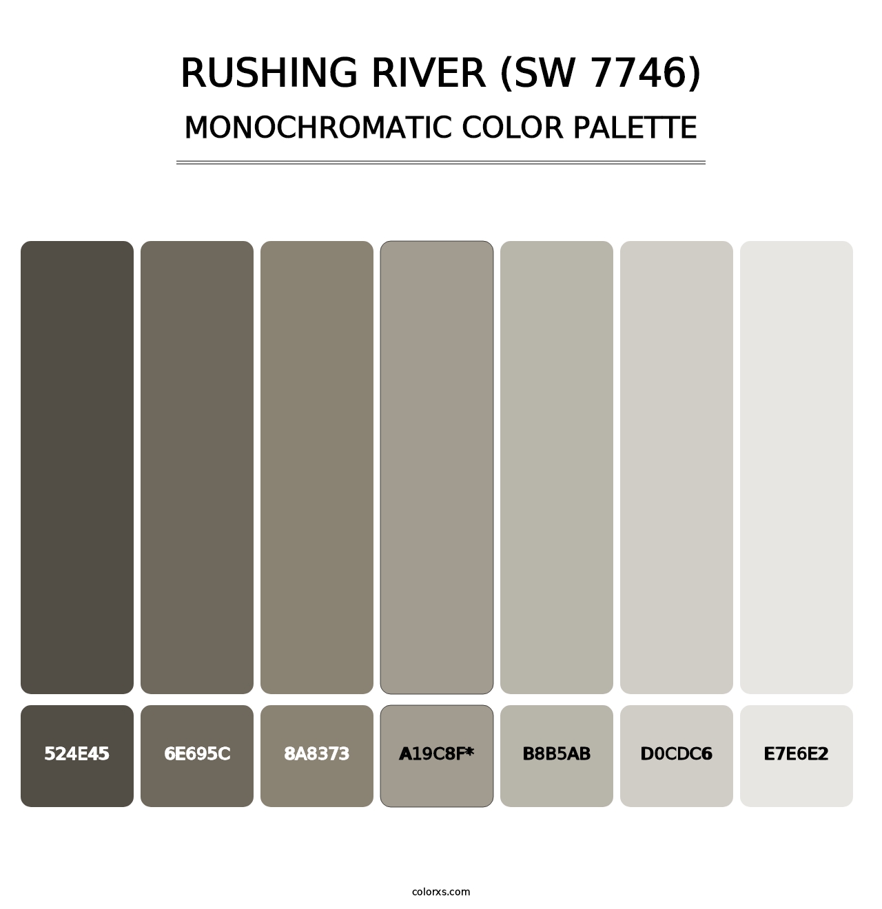 Rushing River (SW 7746) - Monochromatic Color Palette