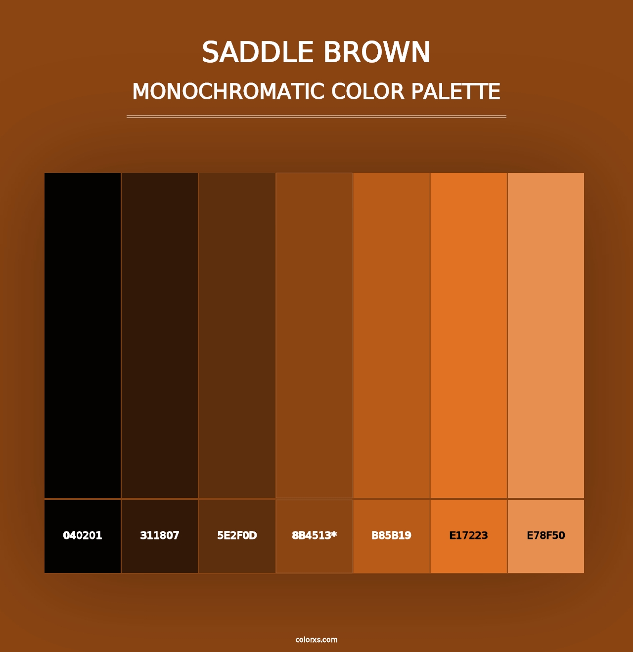 Saddle Brown - Monochromatic Color Palette