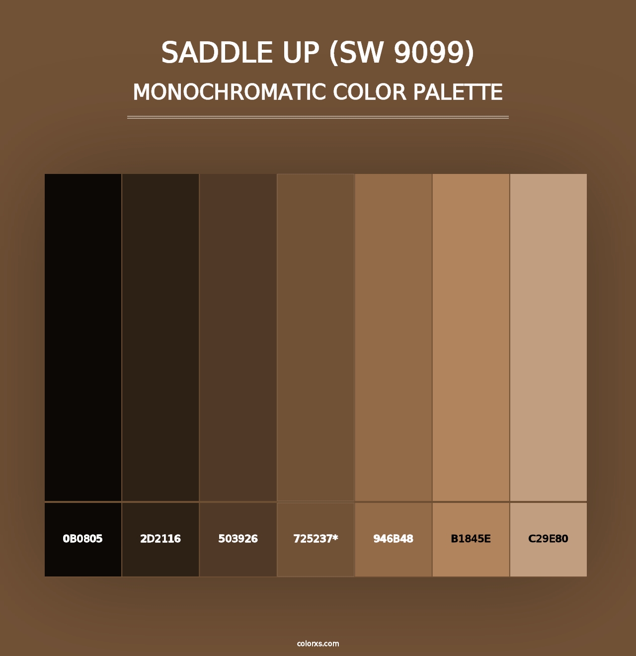 Saddle Up (SW 9099) - Monochromatic Color Palette