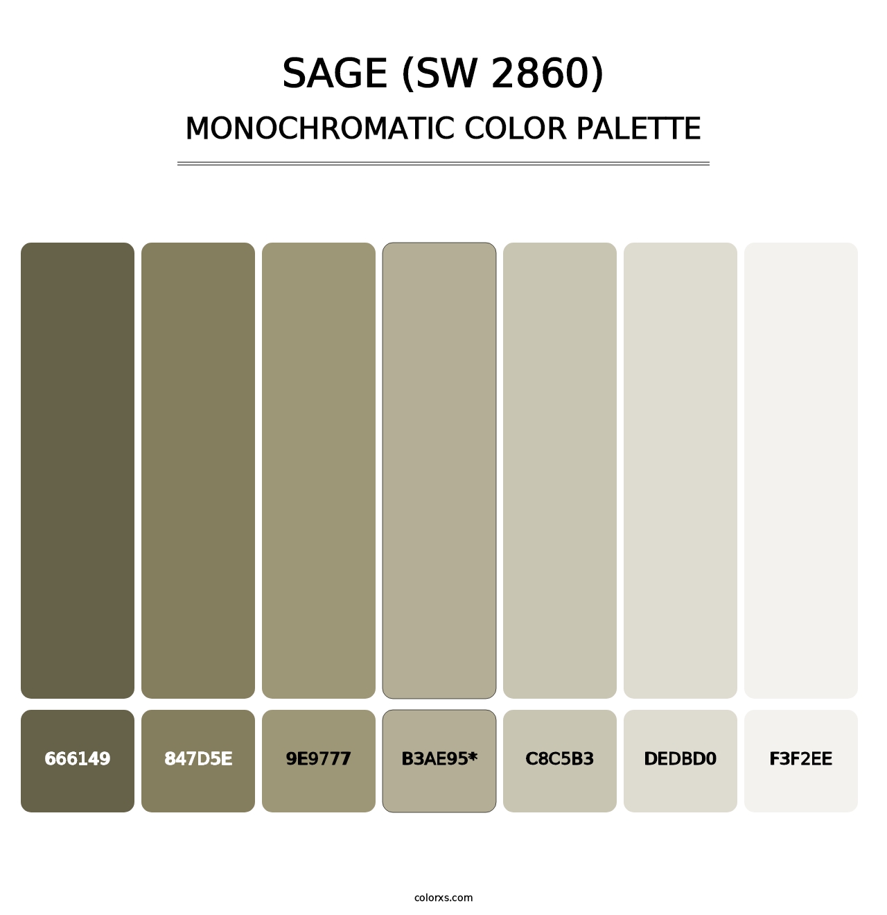 Sage (SW 2860) - Monochromatic Color Palette