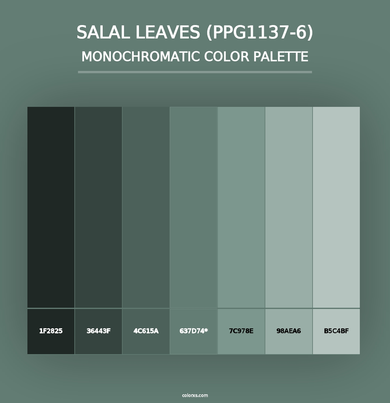 Salal Leaves (PPG1137-6) - Monochromatic Color Palette