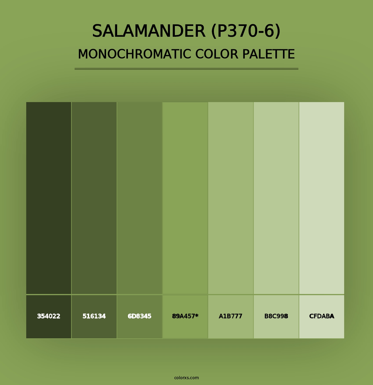 Salamander (P370-6) - Monochromatic Color Palette