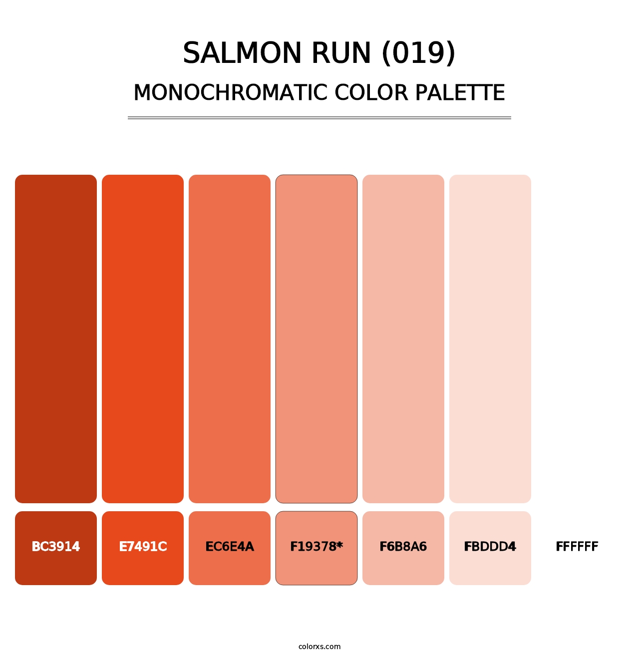 Salmon Run (019) - Monochromatic Color Palette