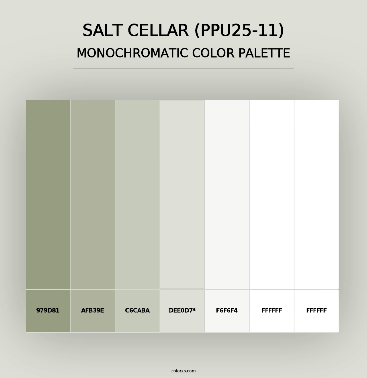 Salt Cellar (PPU25-11) - Monochromatic Color Palette