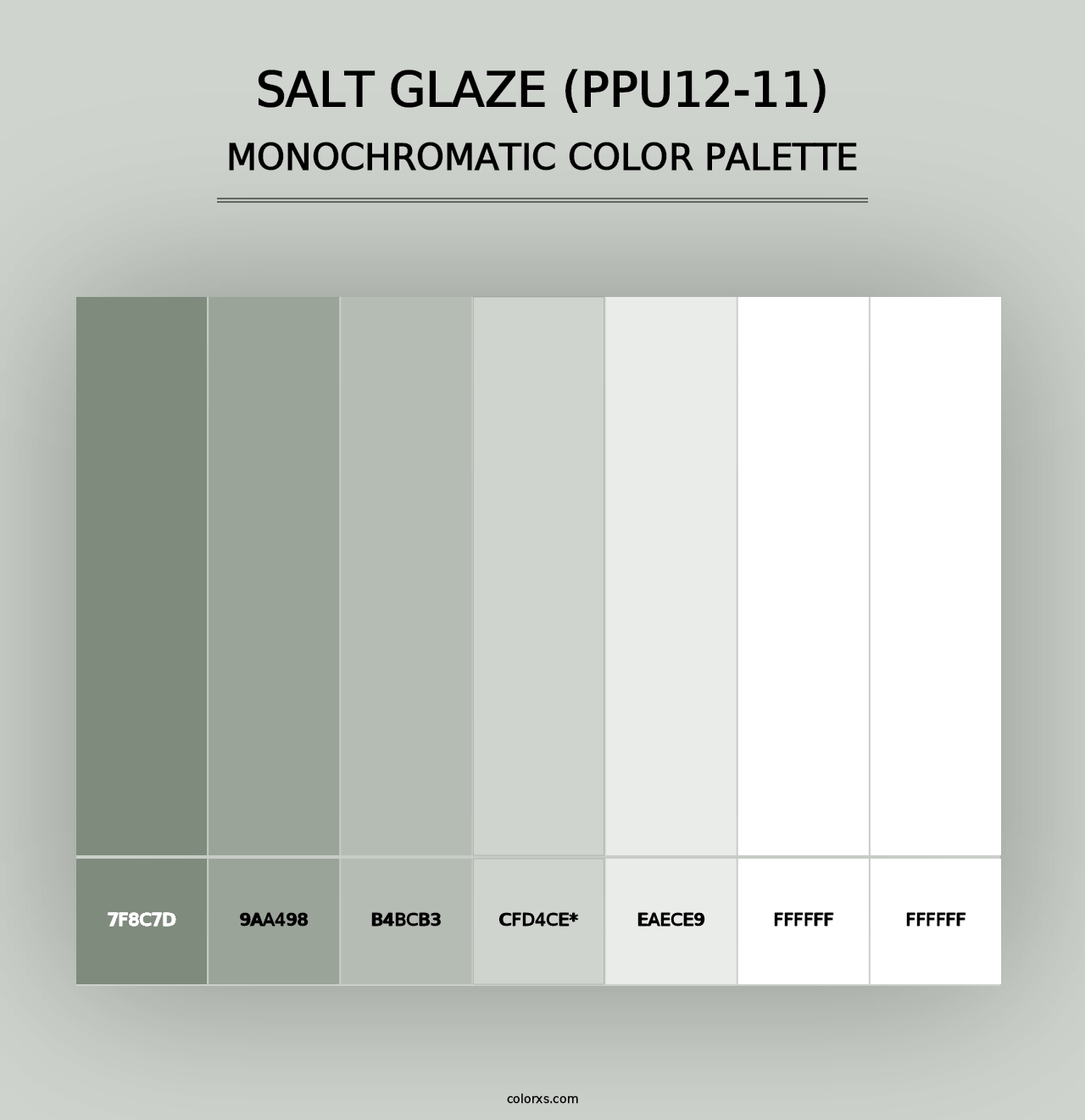 Salt Glaze (PPU12-11) - Monochromatic Color Palette