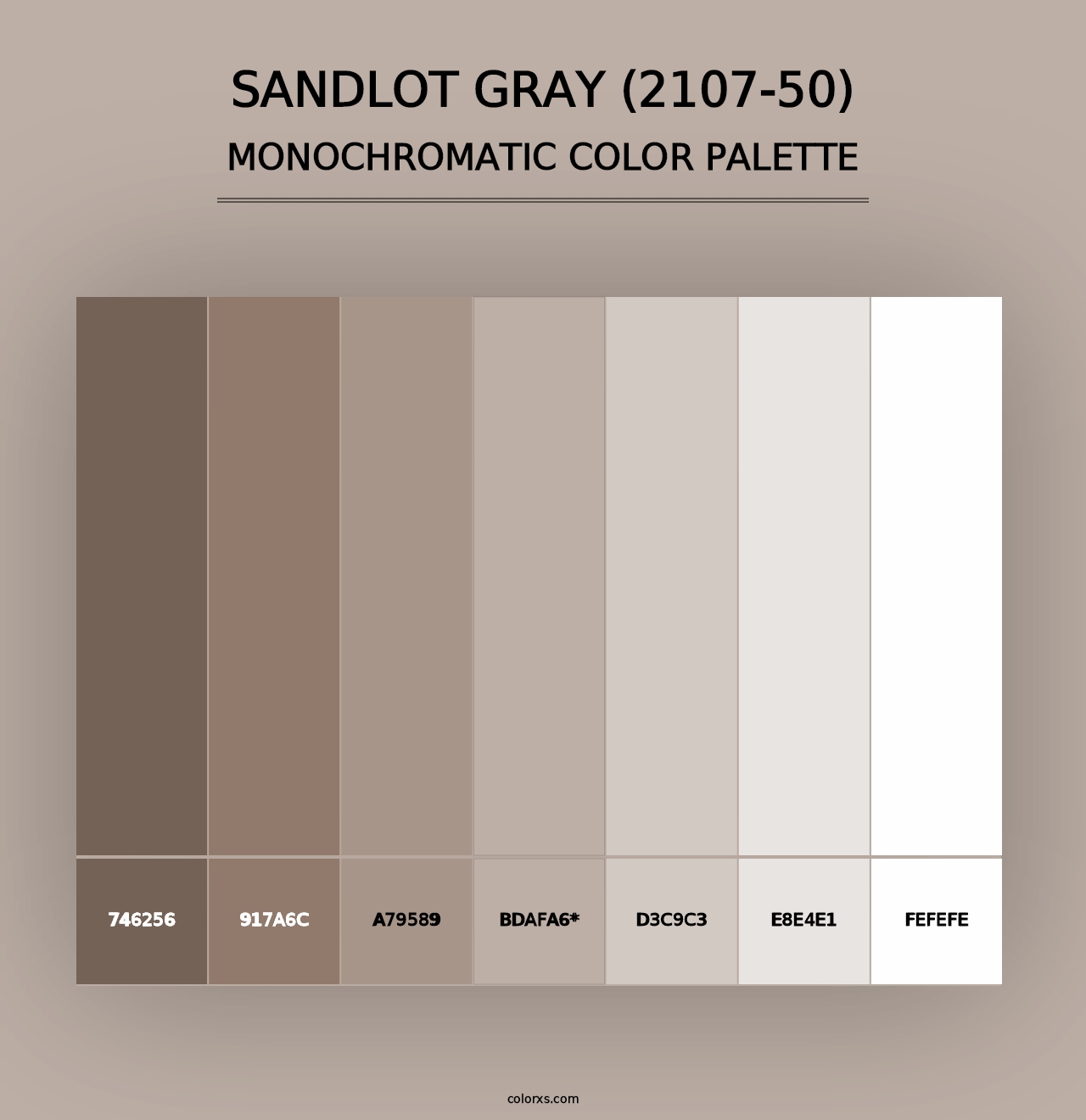 Sandlot Gray (2107-50) - Monochromatic Color Palette