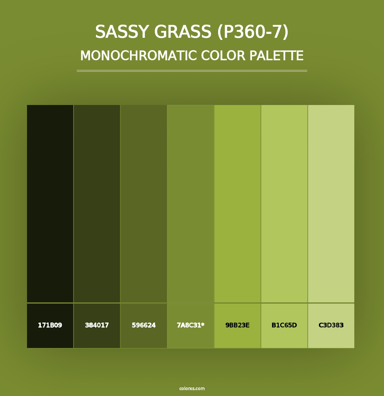 Sassy Grass (P360-7) - Monochromatic Color Palette