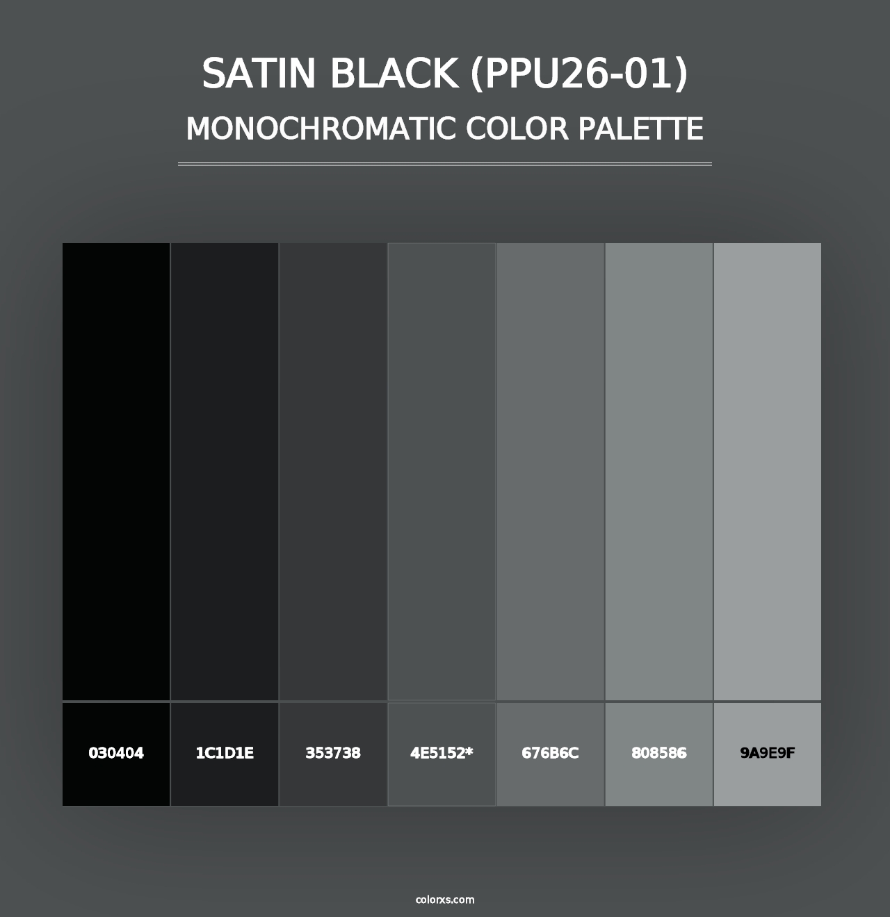 Satin Black (PPU26-01) - Monochromatic Color Palette