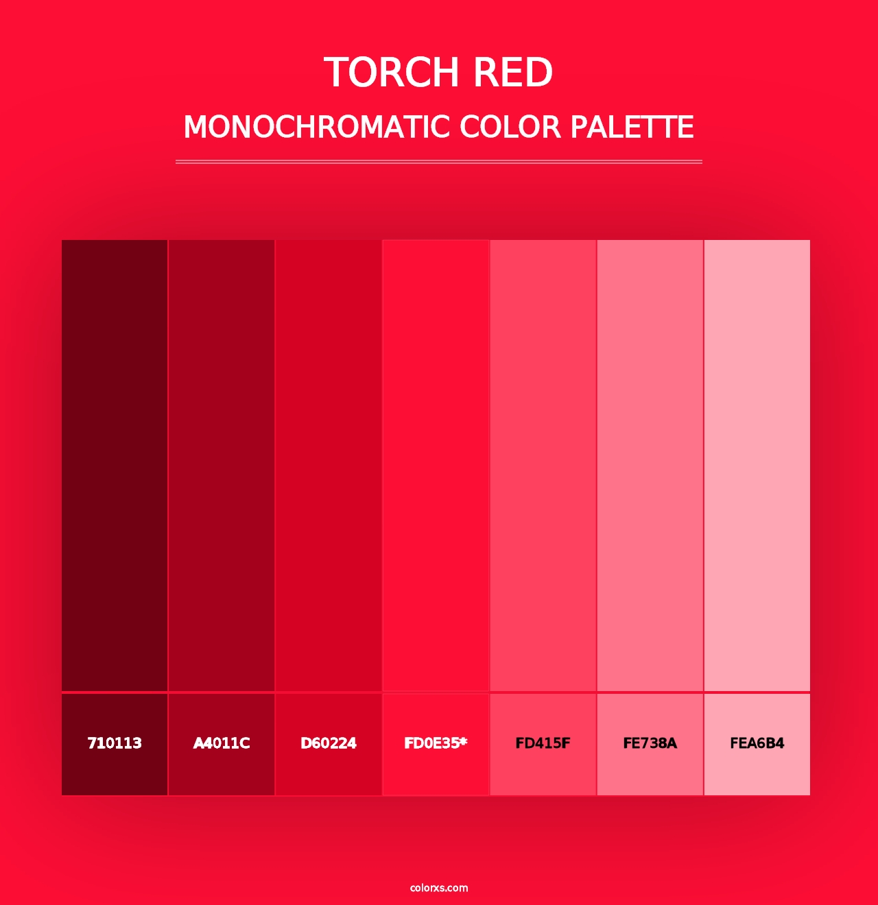 Torch Red - Monochromatic Color Palette