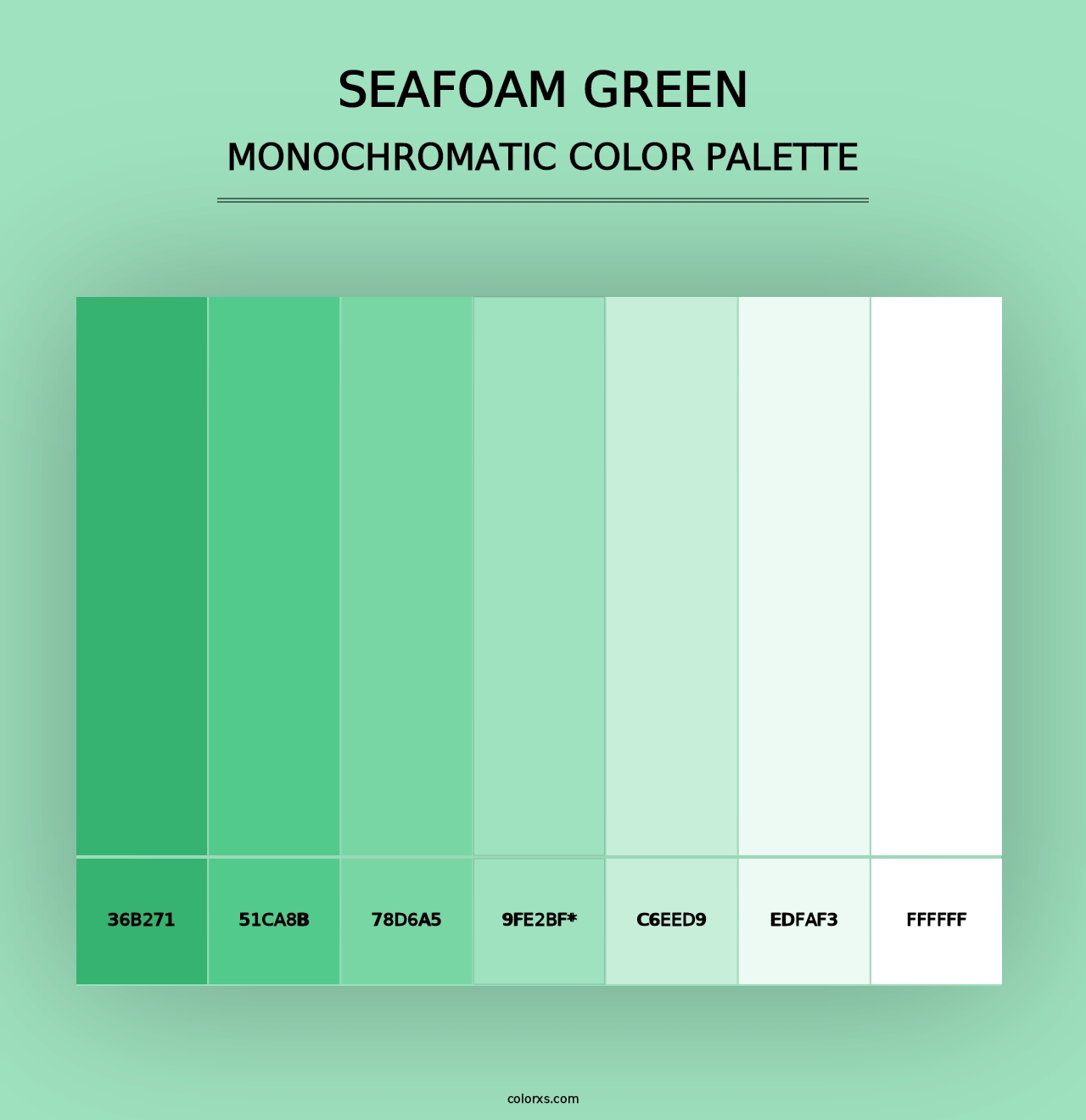 Seafoam Green - Monochromatic Color Palette