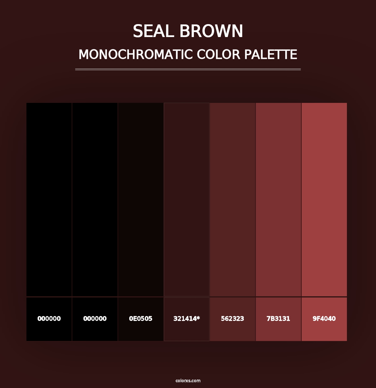 Seal brown - Monochromatic Color Palette