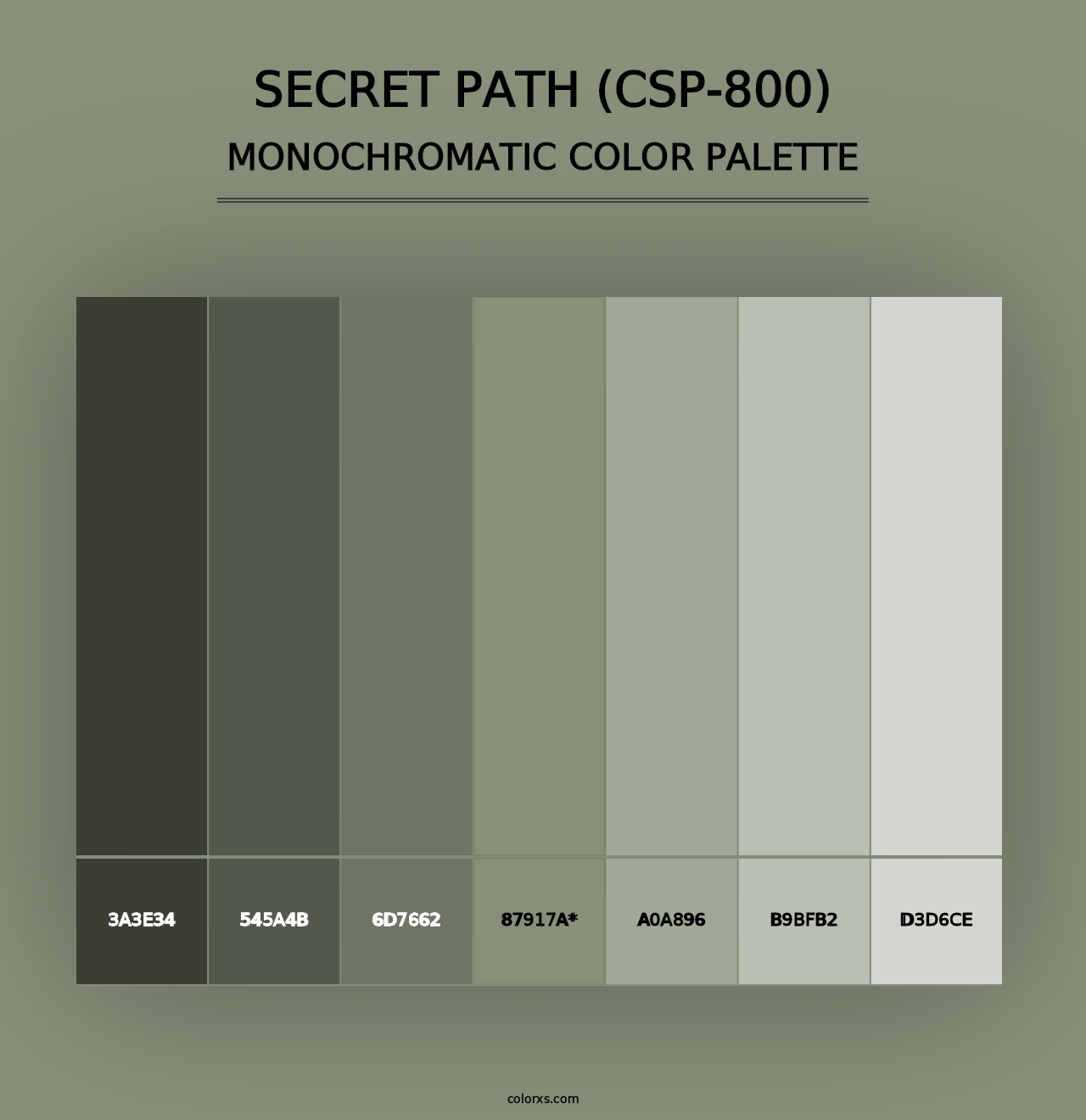 Secret Path (CSP-800) - Monochromatic Color Palette