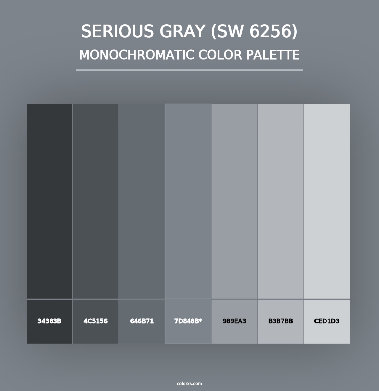 Serious Gray (SW 6256) - Monochromatic Color Palette