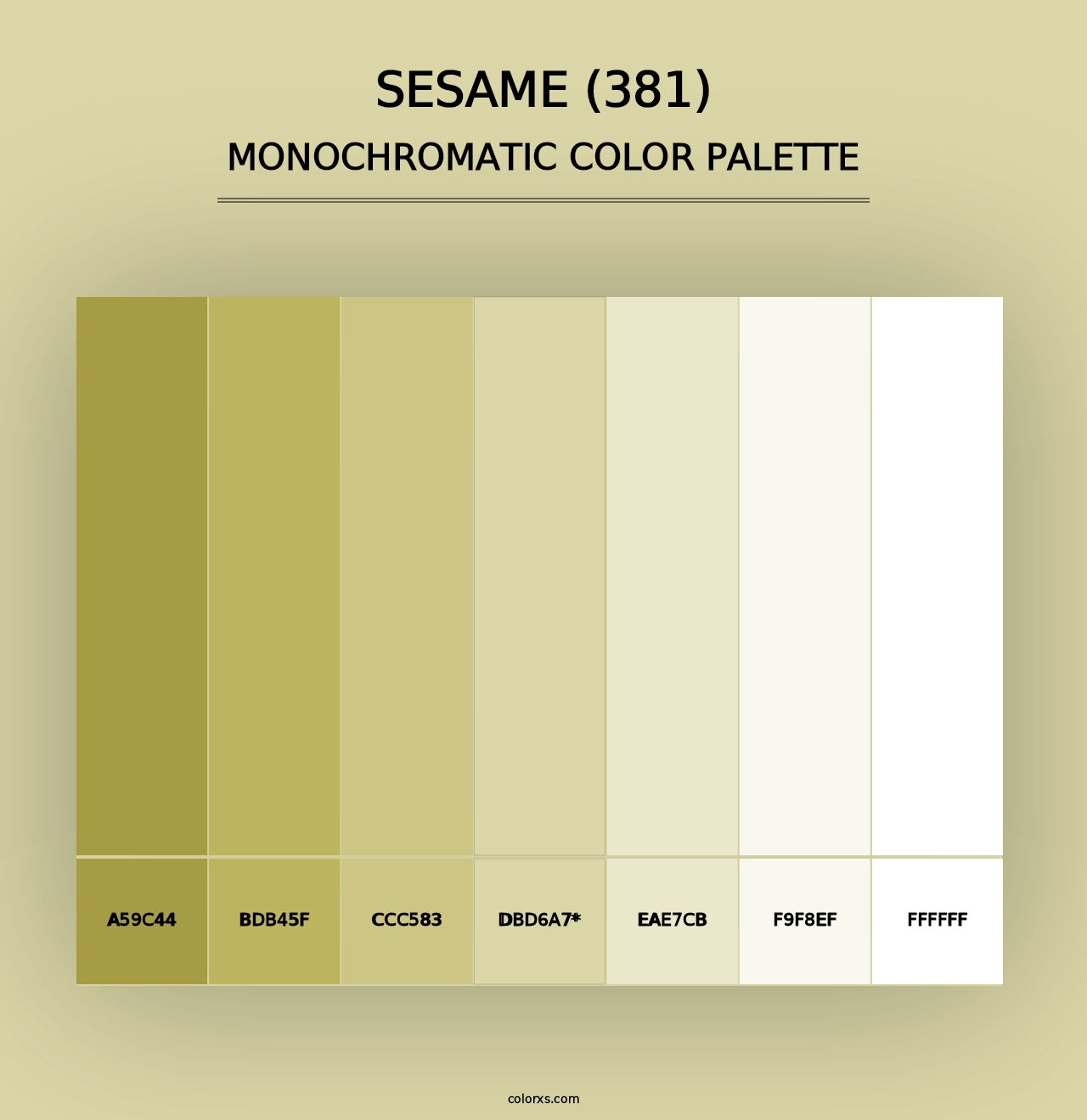 Sesame (381) - Monochromatic Color Palette