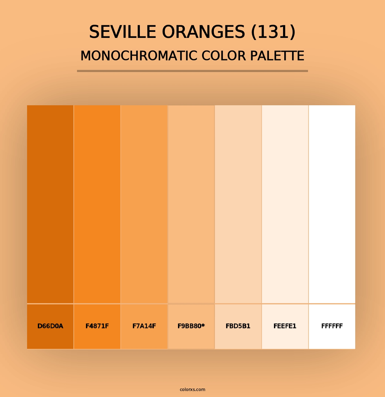 Seville Oranges (131) - Monochromatic Color Palette