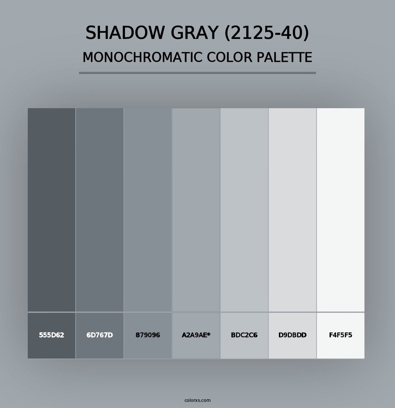 Shadow Gray (2125-40) - Monochromatic Color Palette