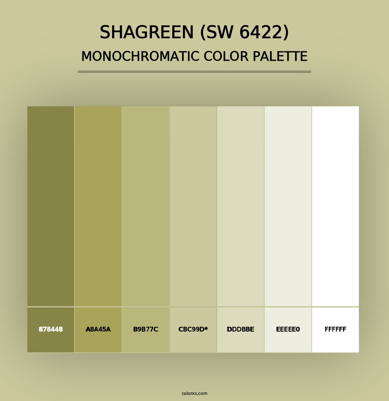 Shagreen (SW 6422) - Monochromatic Color Palette