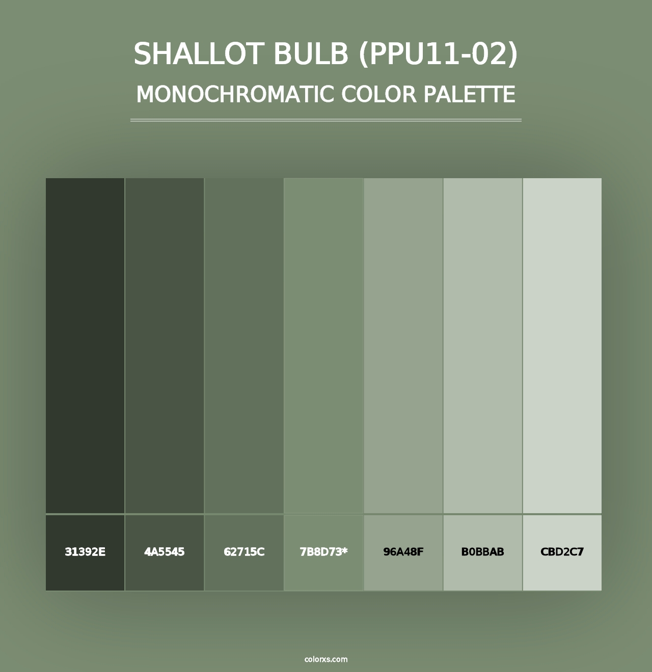 Shallot Bulb (PPU11-02) - Monochromatic Color Palette