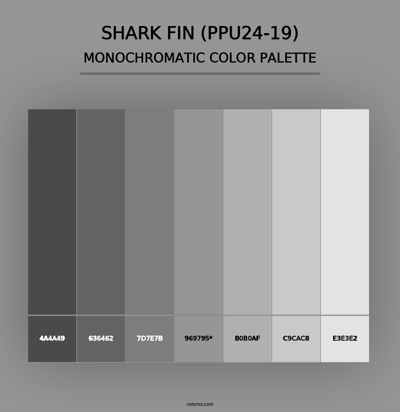 Shark Fin (PPU24-19) - Monochromatic Color Palette