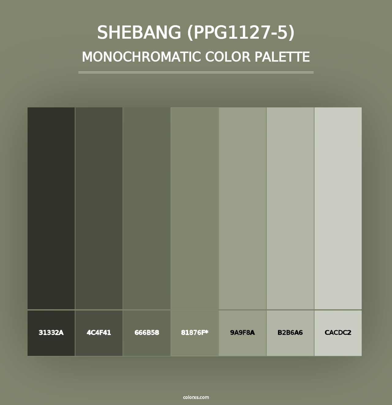 Shebang (PPG1127-5) - Monochromatic Color Palette