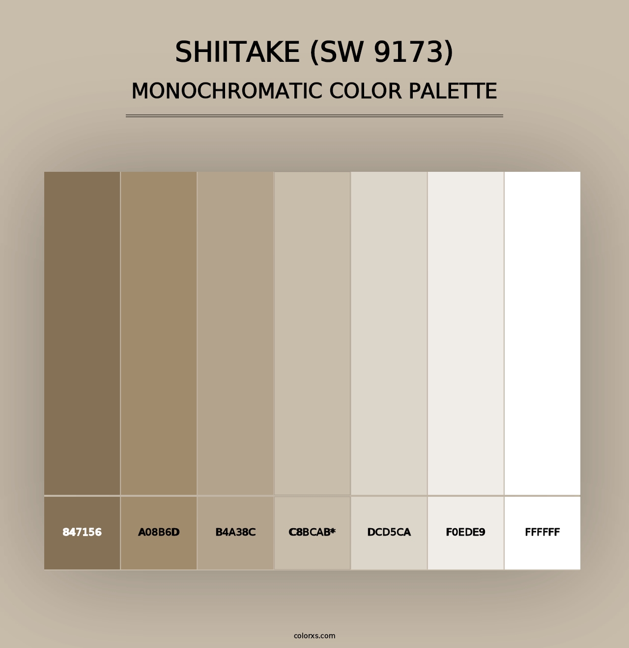 Shiitake (SW 9173) - Monochromatic Color Palette