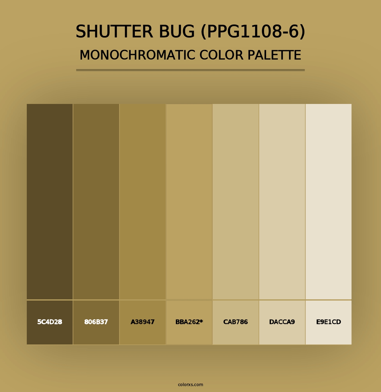 Shutter Bug (PPG1108-6) - Monochromatic Color Palette