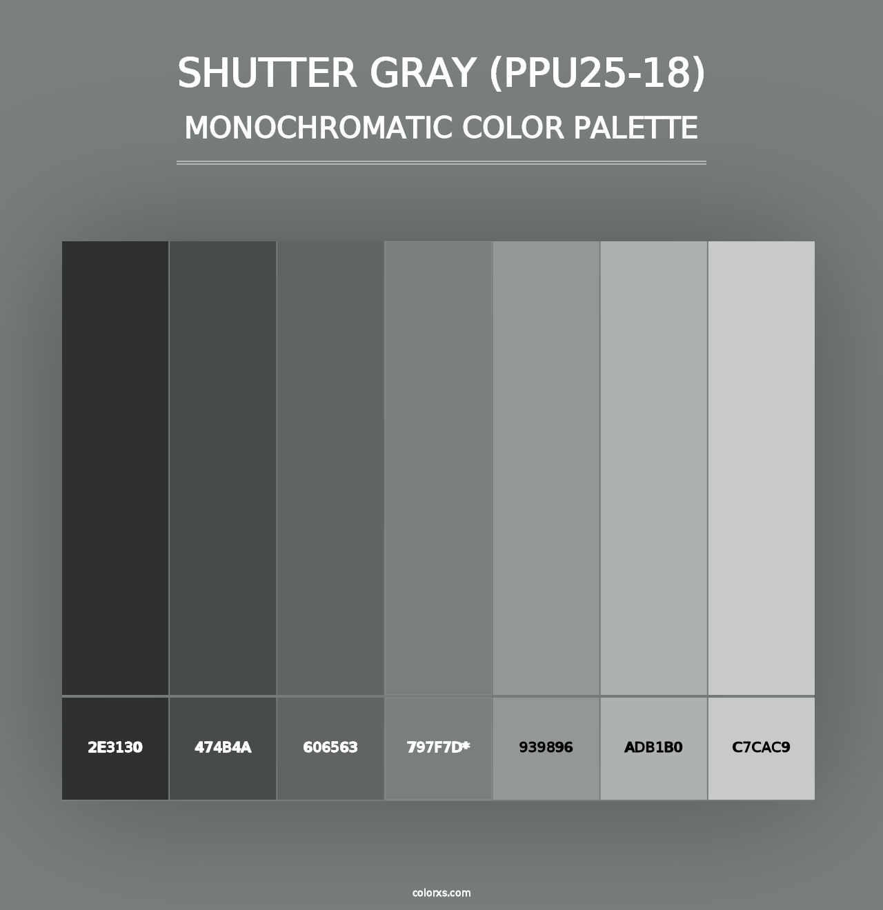 Shutter Gray (PPU25-18) - Monochromatic Color Palette