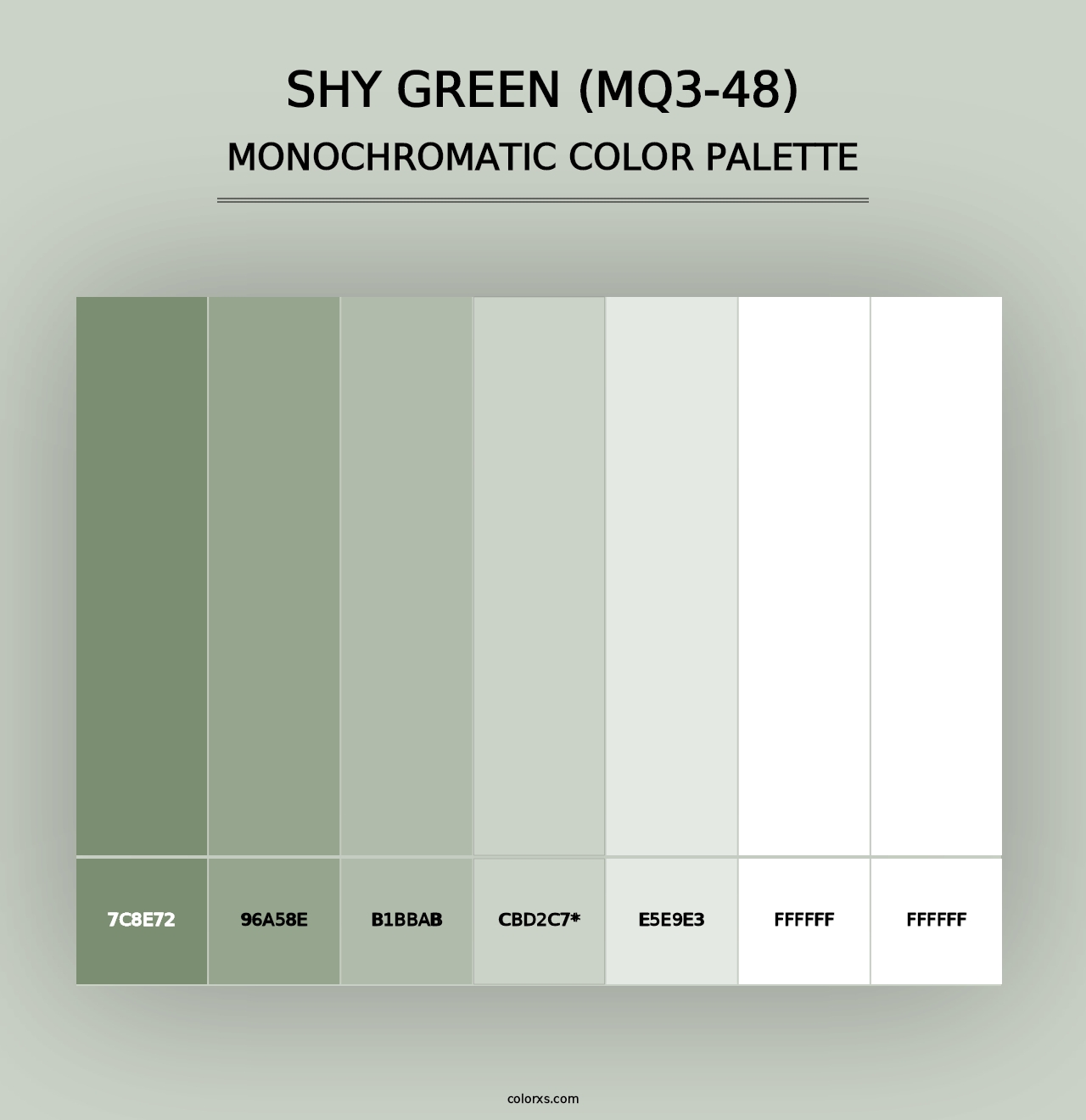 Shy Green (MQ3-48) - Monochromatic Color Palette