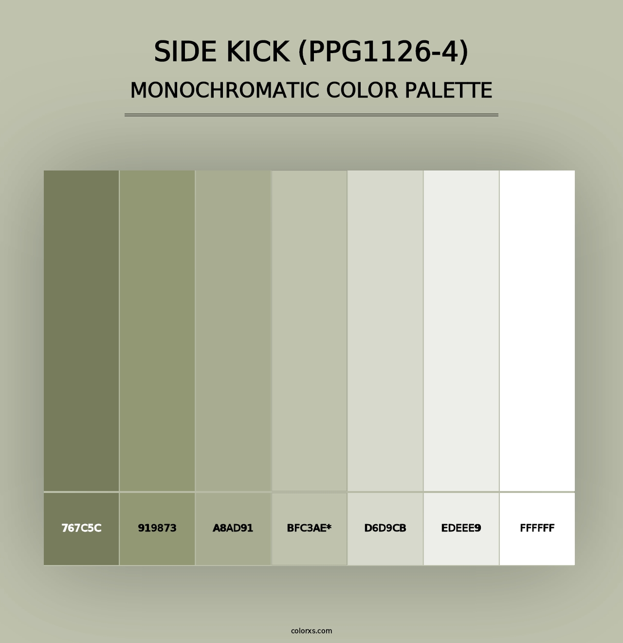 Side Kick (PPG1126-4) - Monochromatic Color Palette