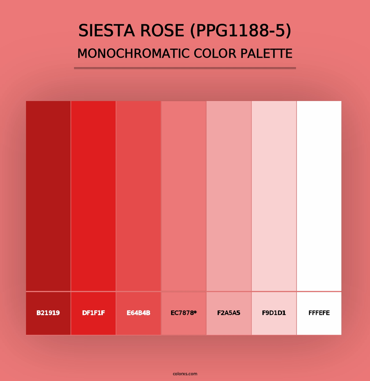 Siesta Rose (PPG1188-5) - Monochromatic Color Palette