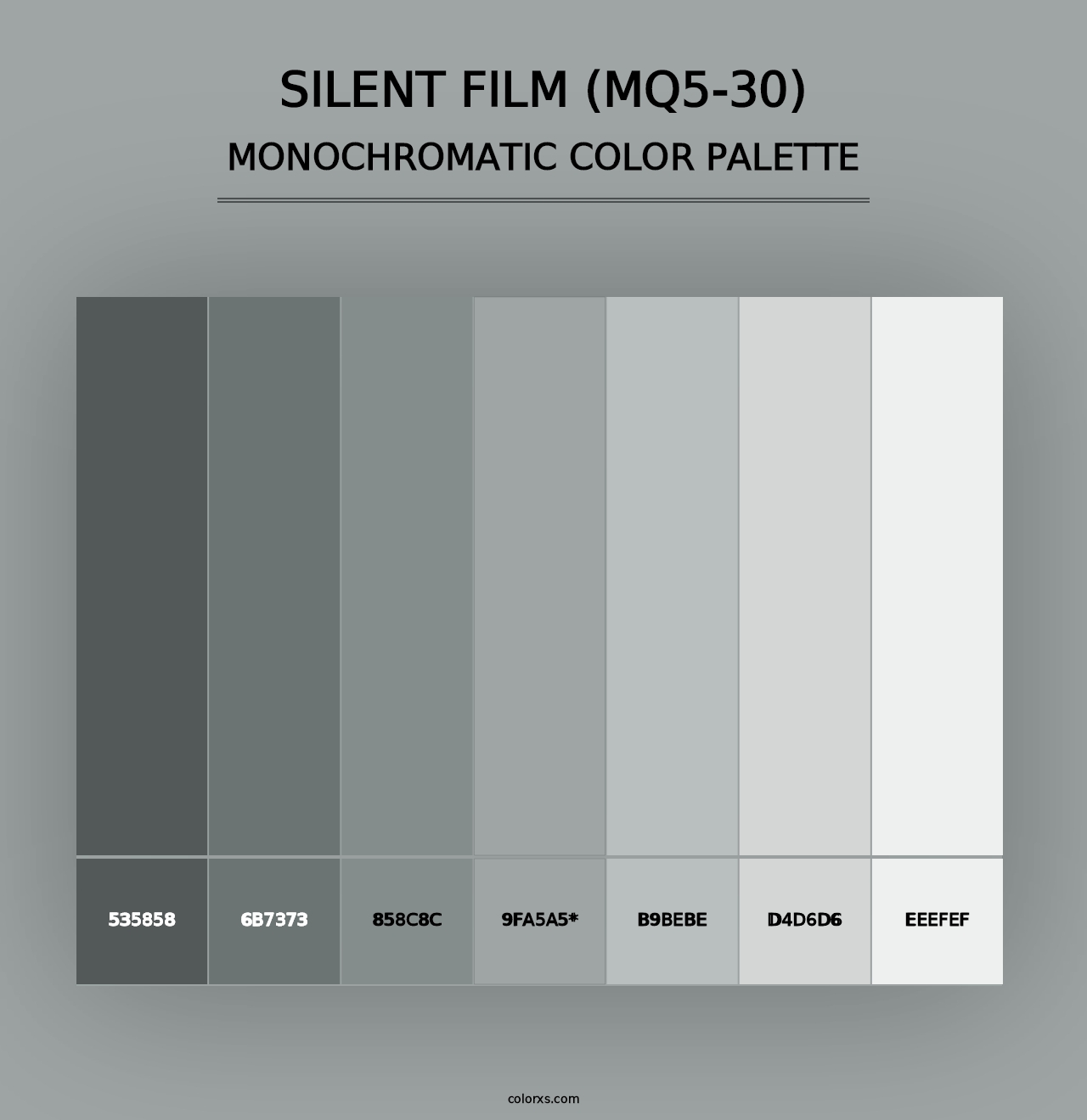 Silent Film (MQ5-30) - Monochromatic Color Palette